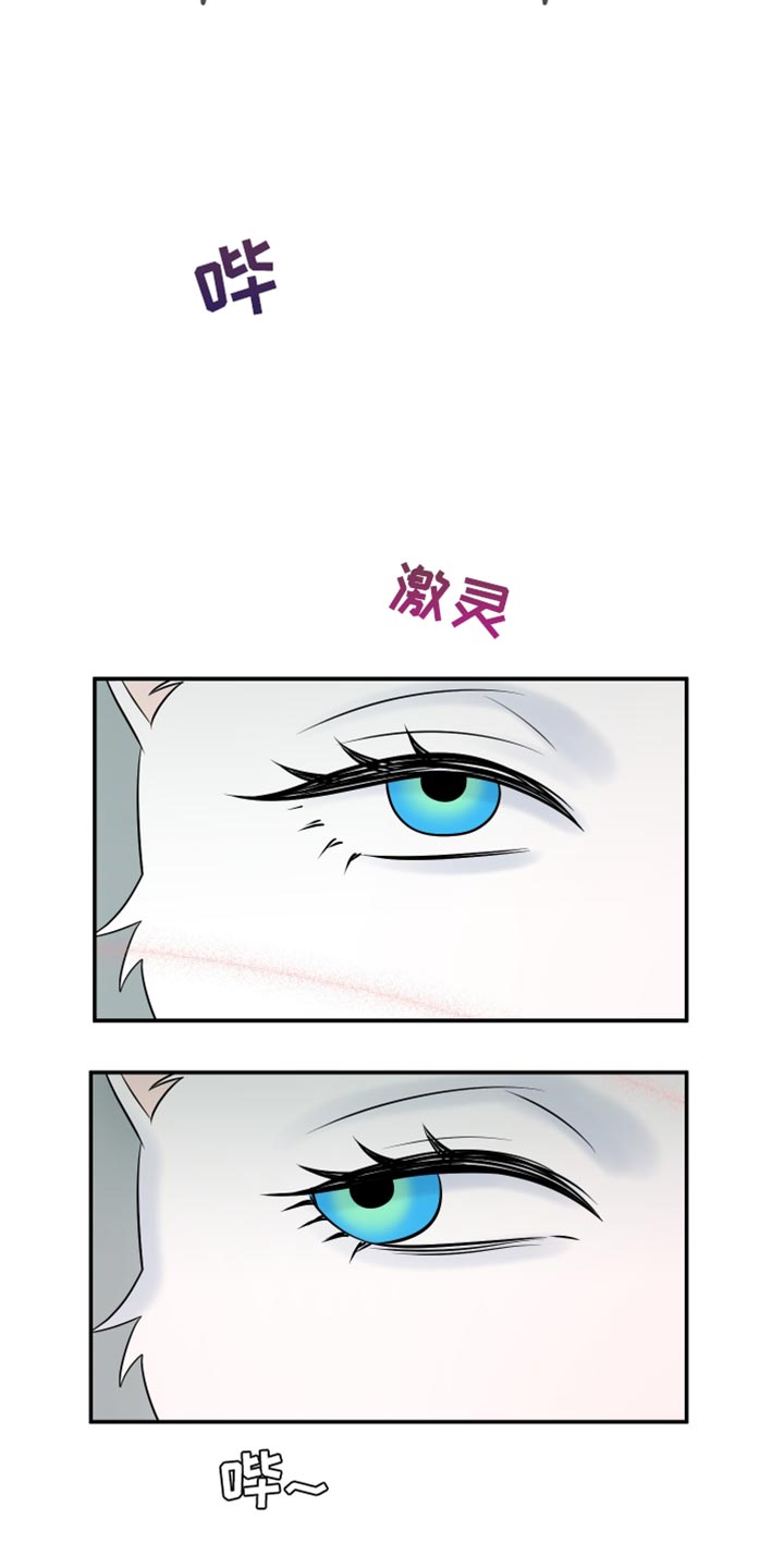 灵猫欧米伽漫画第二季漫画,第149话1图