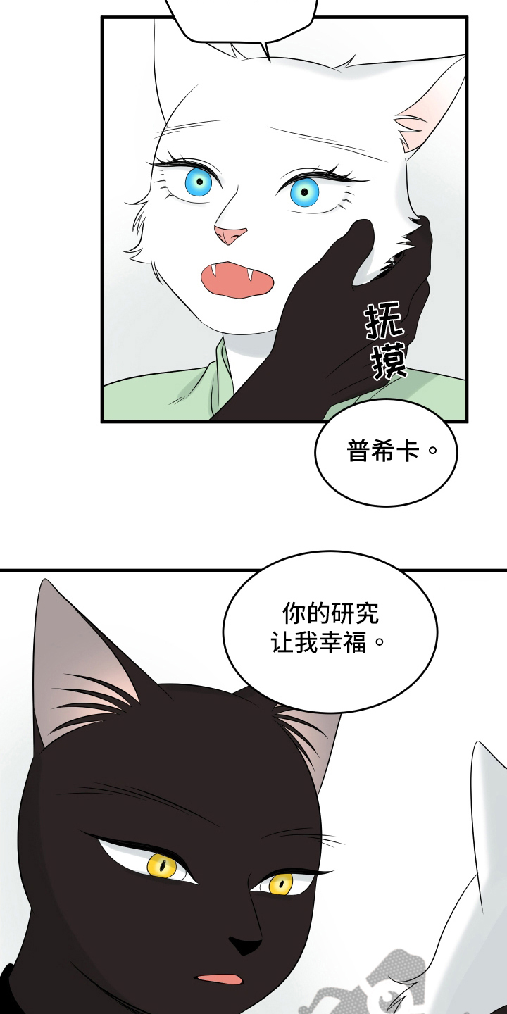 灵猫科和猫科的区别漫画,第107话1图