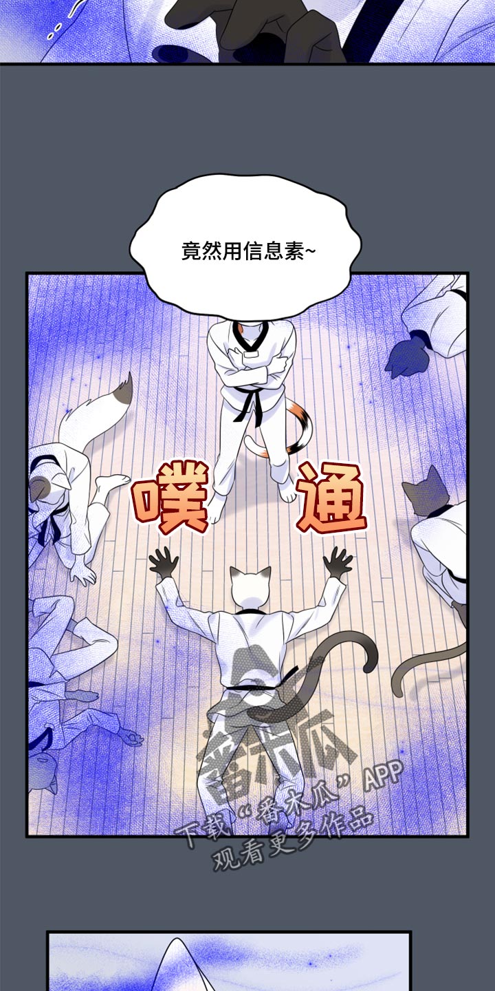 灵猫小说漫画,第76话1图