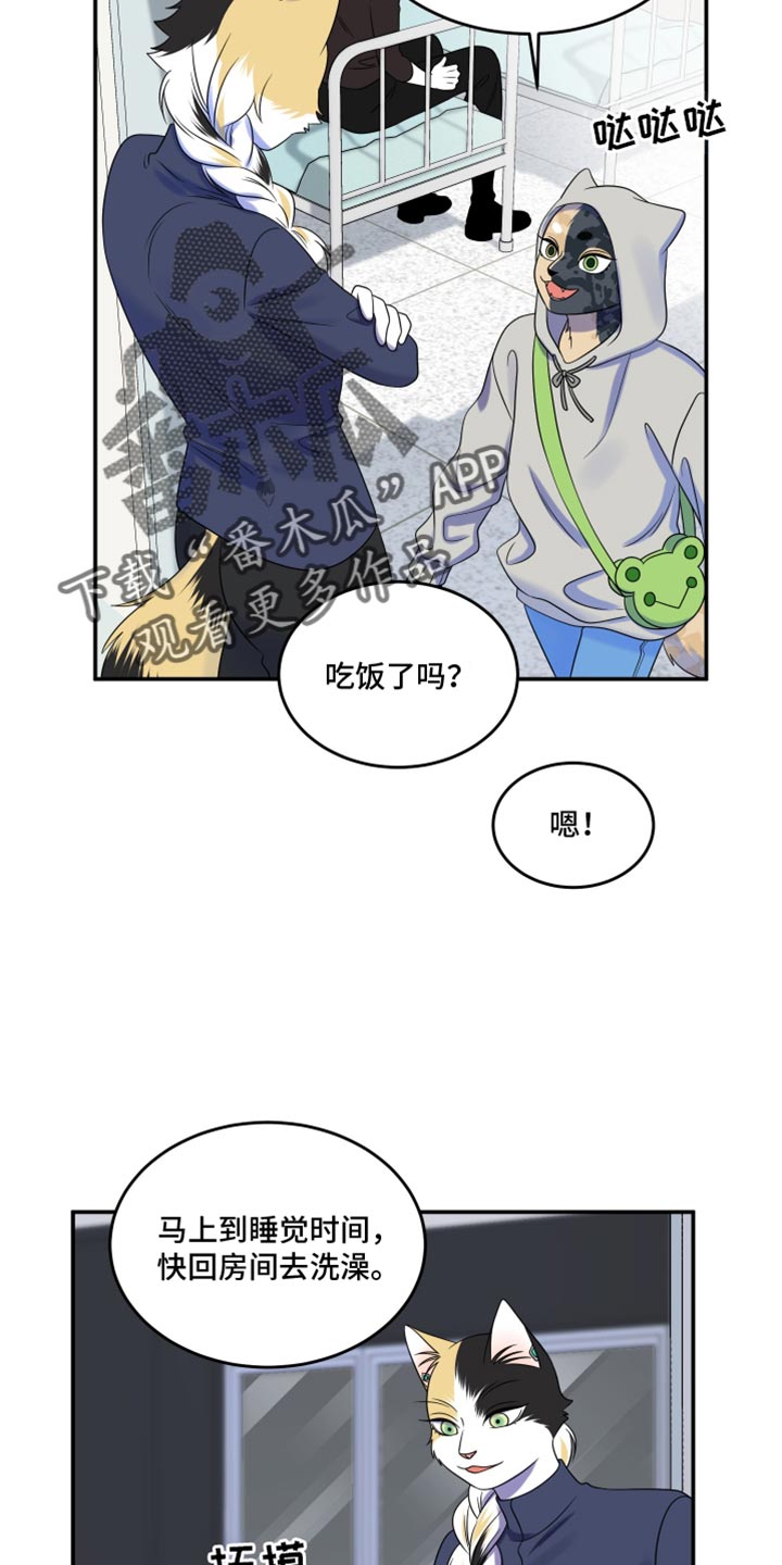 灵猫传汪苏泷漫画,第116话2图