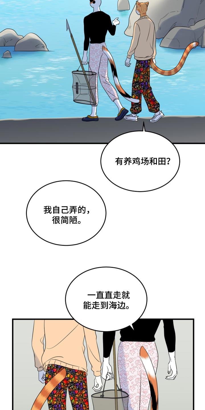 灵猫欧米伽高清漫画,第67话1图