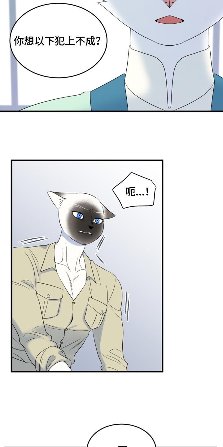 灵猫欧米伽漫画,第65话2图