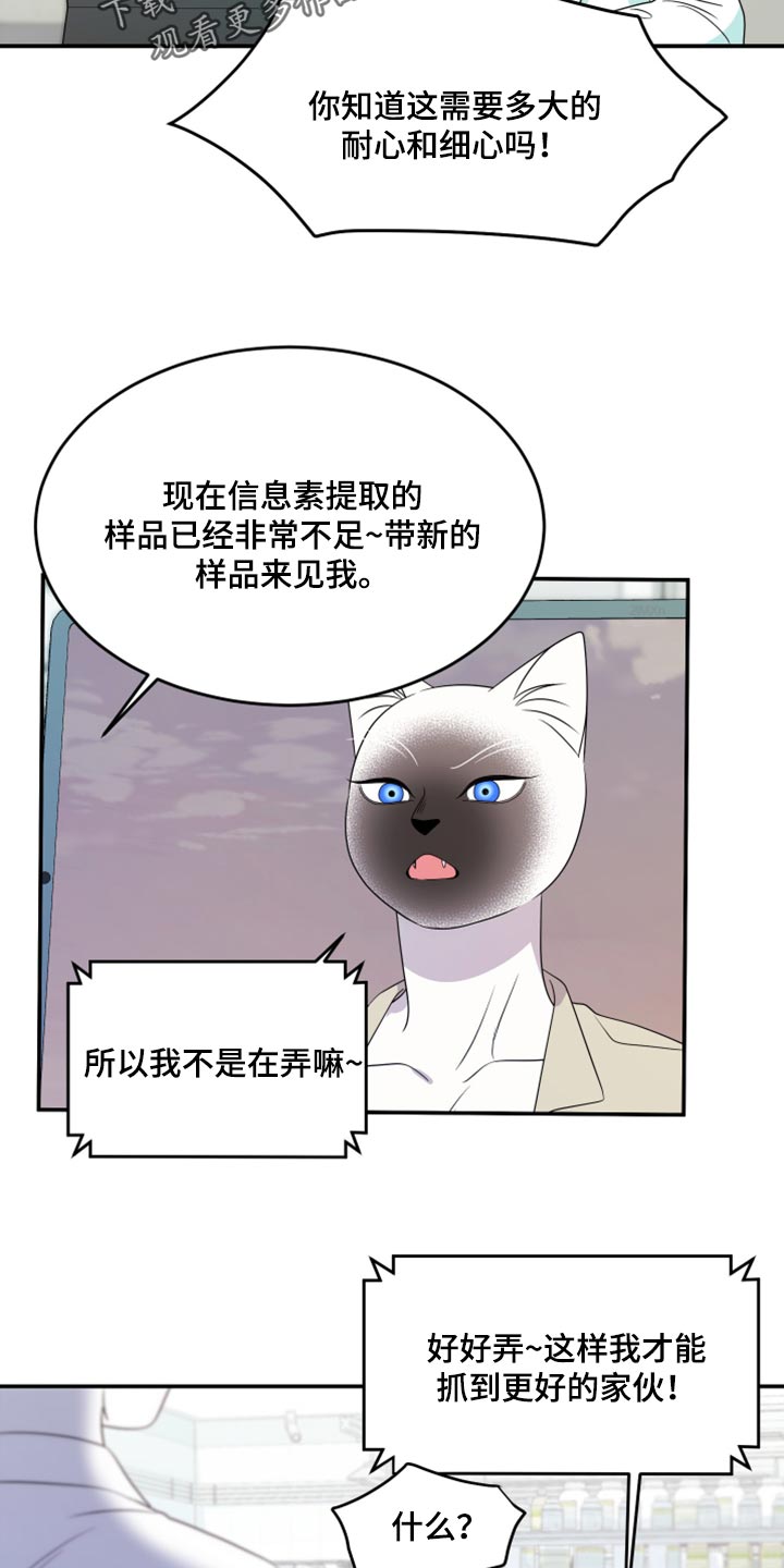 灵猫欧米伽第三季什么时候出漫画,第57话2图