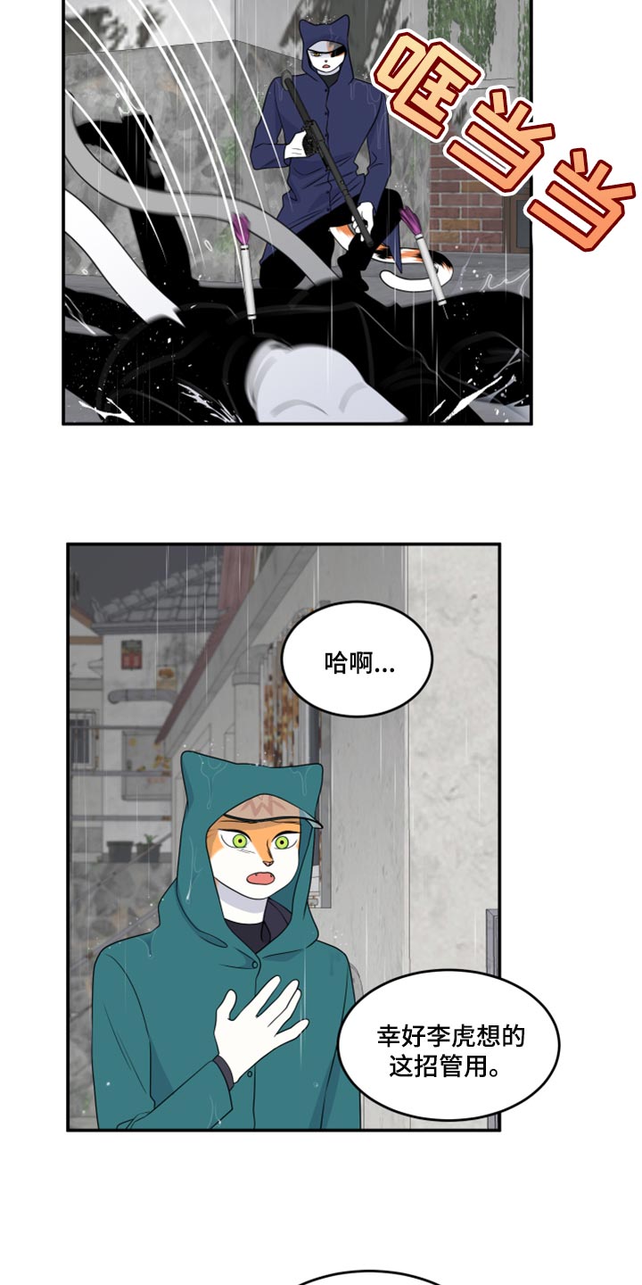 灵猫欧米伽免费阅读漫画,第53话1图