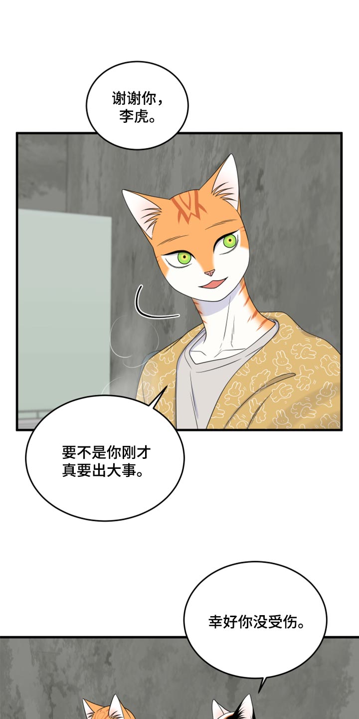 灵猫欧米伽第三季156章漫画,第89话2图