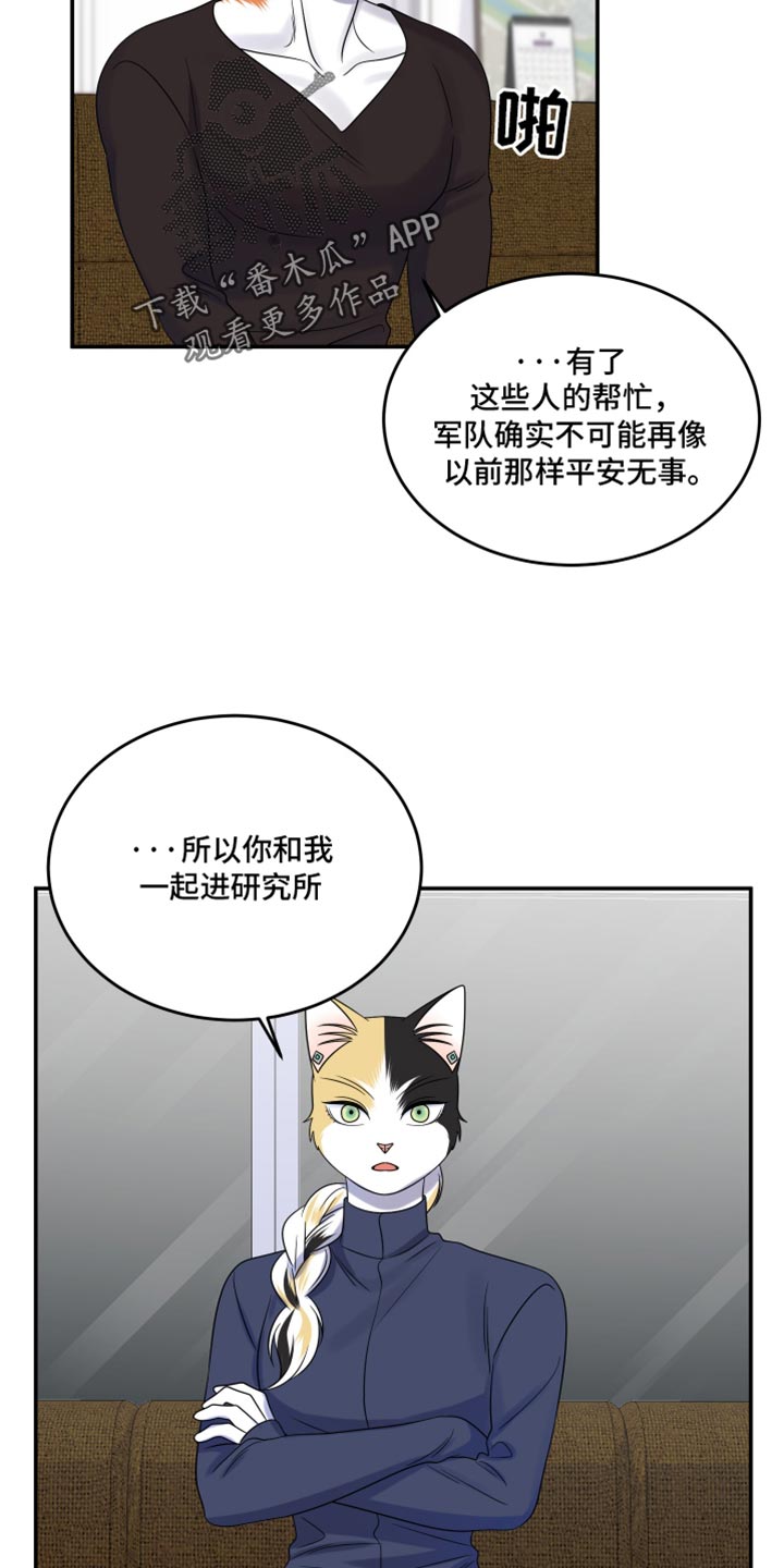 灵猫欧米伽完整版漫画,第117话2图