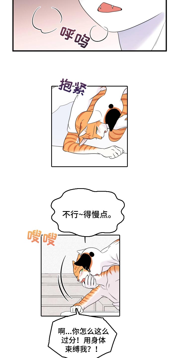 灵猫是什么动物漫画,第72话2图