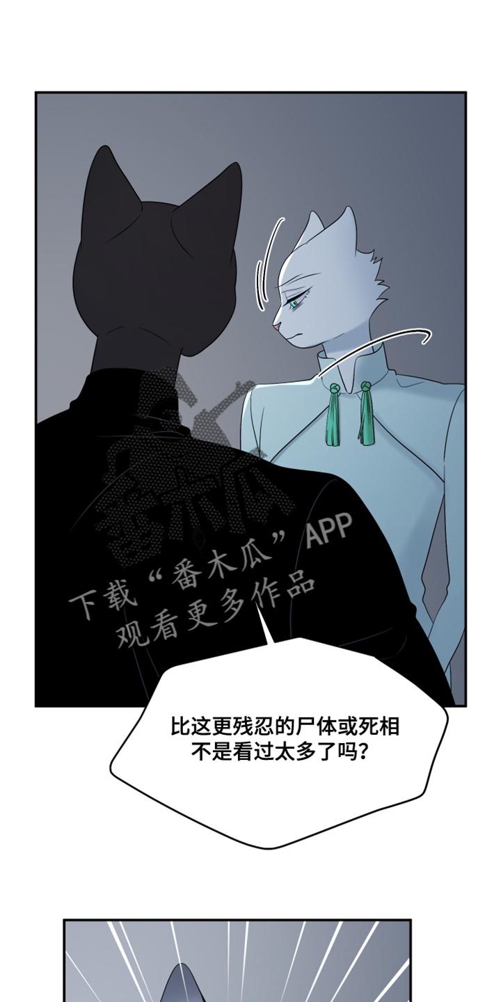 灵猫欧米伽漫画全集免费观看漫画,第155话1图