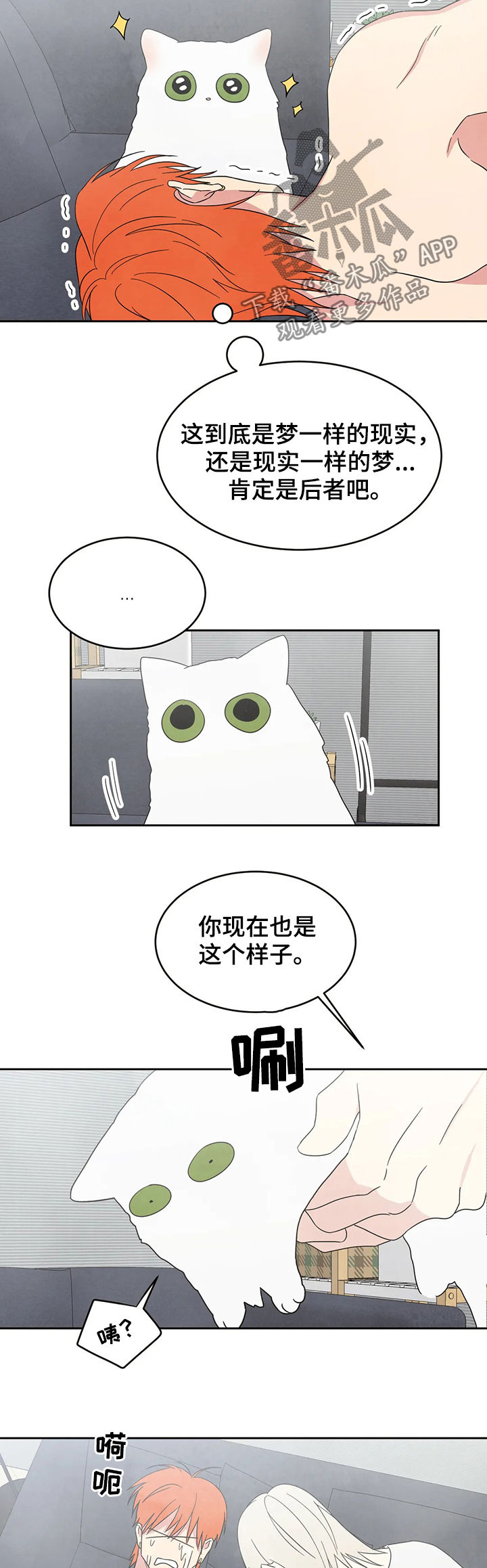 喜欢特鲁姆普的人多吗漫画,第25话1图