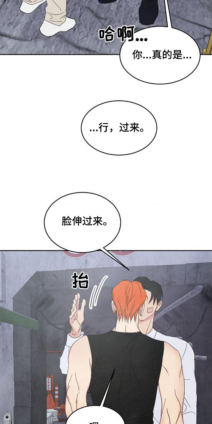 喜欢特鲁姆普的人多吗漫画,第209话2图