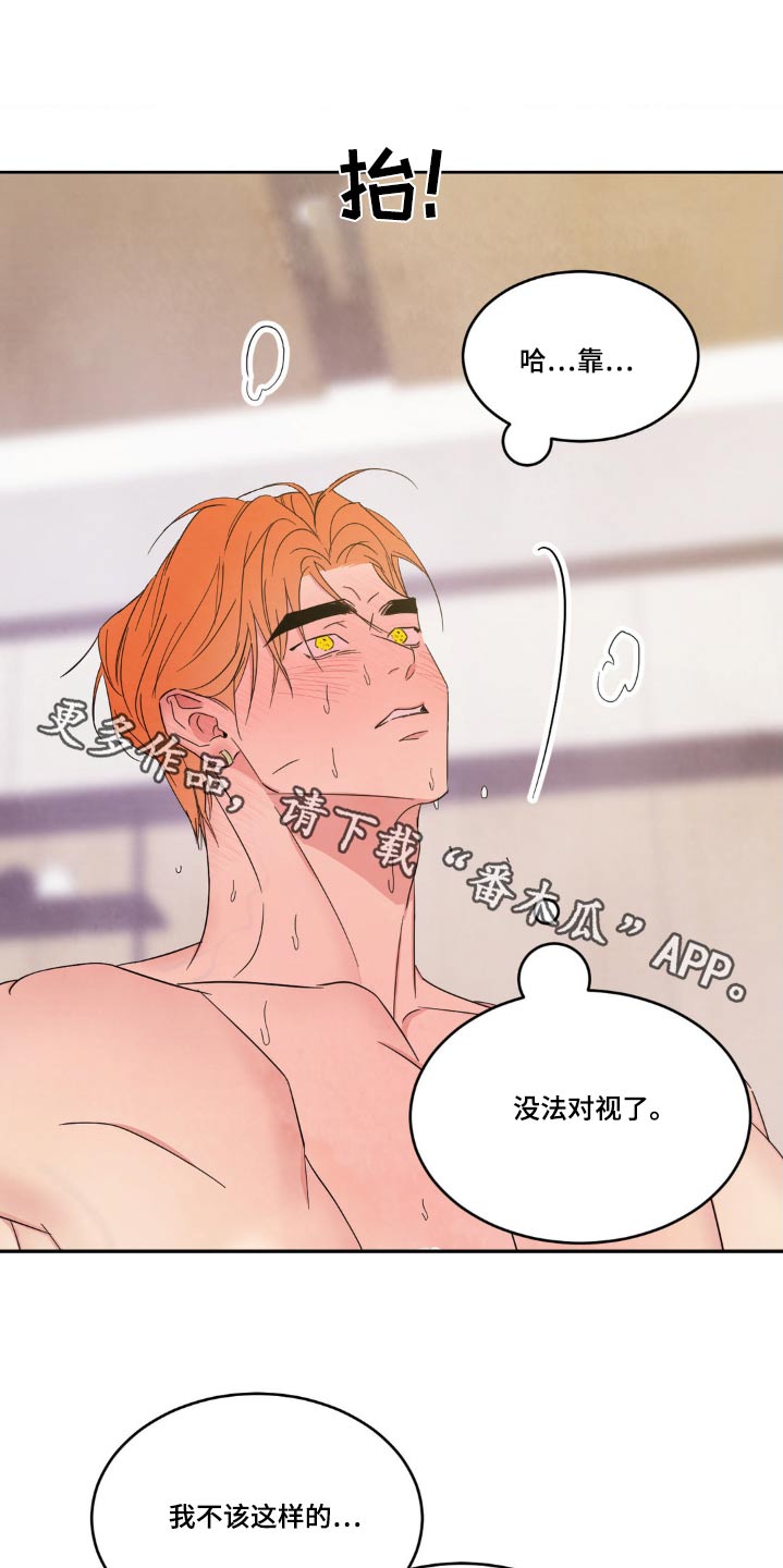 喜欢特别的他漫画,第202话1图