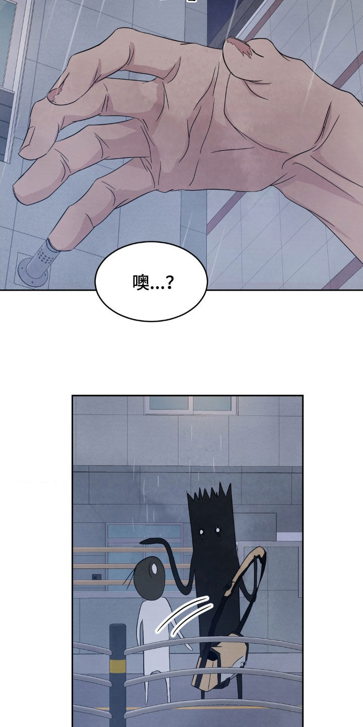 喜欢特别的他漫画,第224话1图