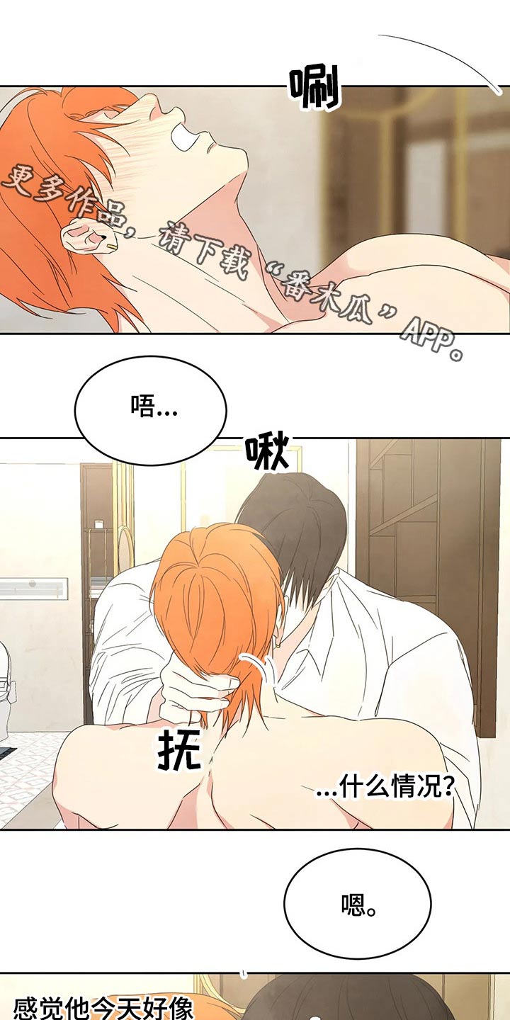 喜欢特鲁姆普的人多吗漫画,第48话1图