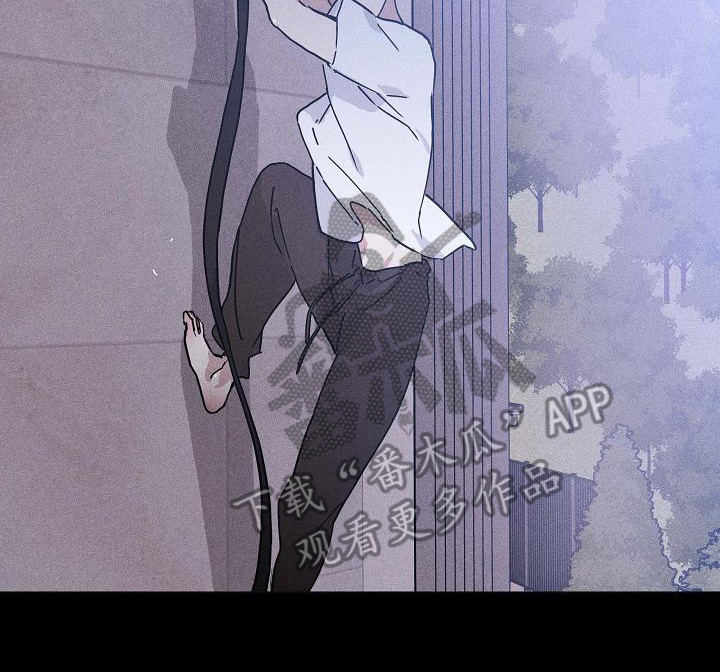 与男人结婚李剑漫画在线阅读漫画,第109话1图