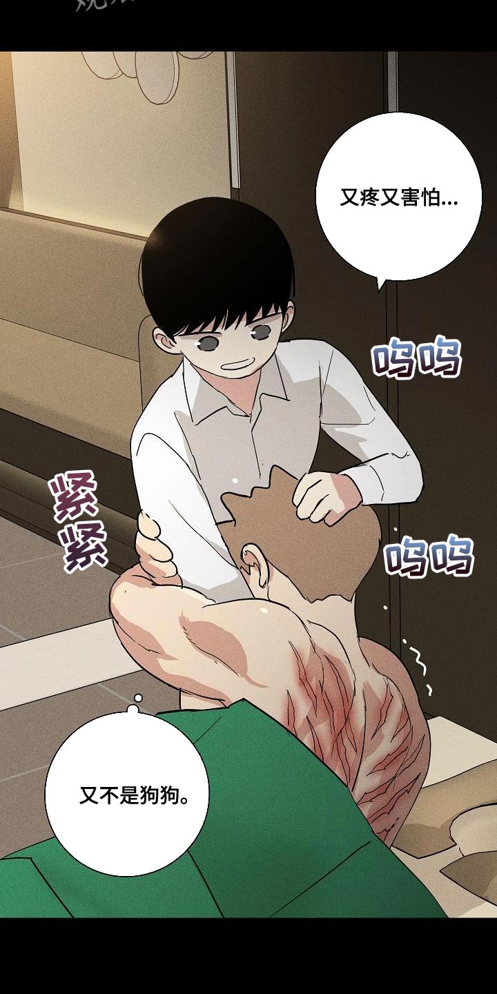 与男人结婚李剑漫画在线阅读漫画,第239话2图