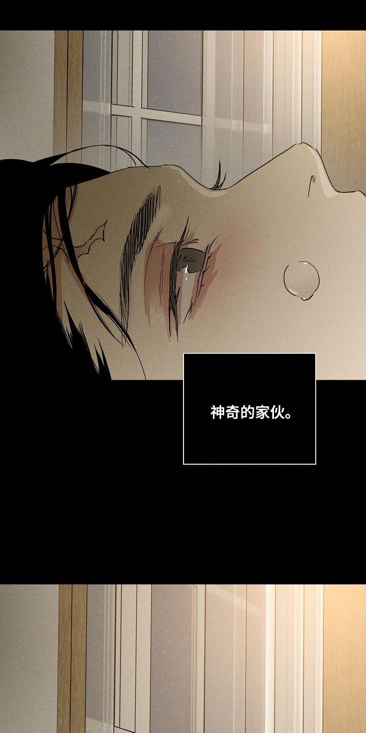 与男人结婚李剑漫画在线阅读漫画,第214话1图