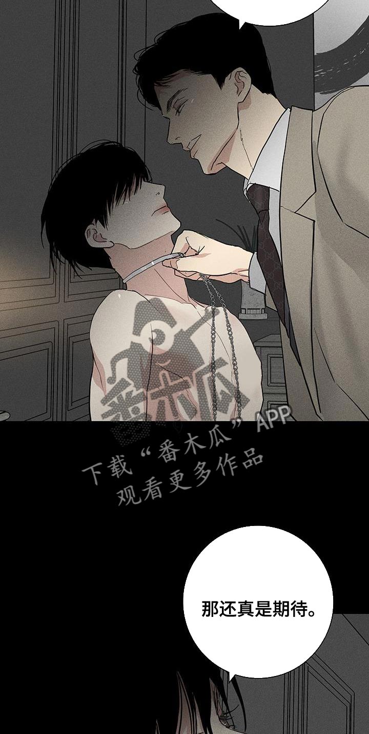 与男人结婚漫画主要讲的是什么漫画,第159话1图