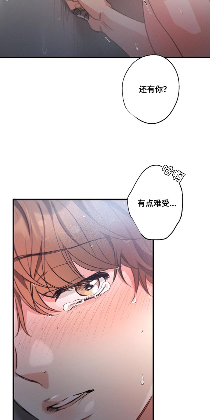 不成文的意图原著小说叫什么漫画,第162话1图