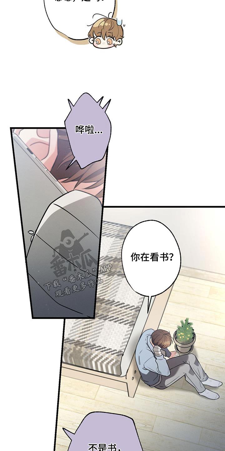 不成文法有哪些国家漫画,第123话2图