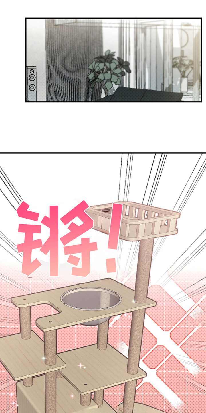 赔偿和补偿区别漫画,第33话1图