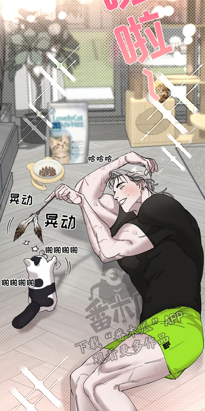 赔偿和补偿区别漫画,第33话1图