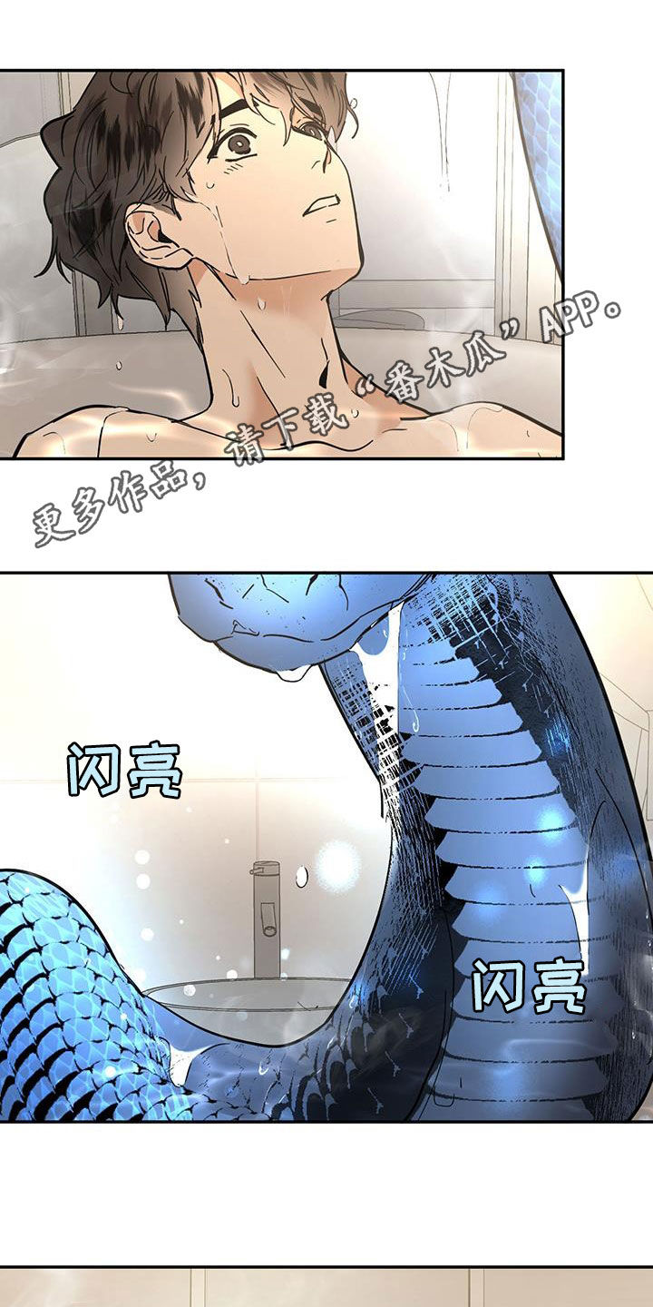 化蛇漫画下拉式全集免费观看漫画,第221话1图