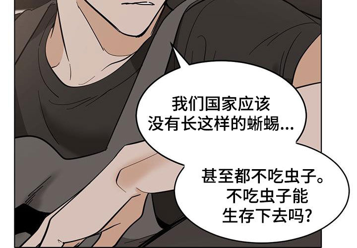 化蛇为龙是什么意思漫画,第187话1图