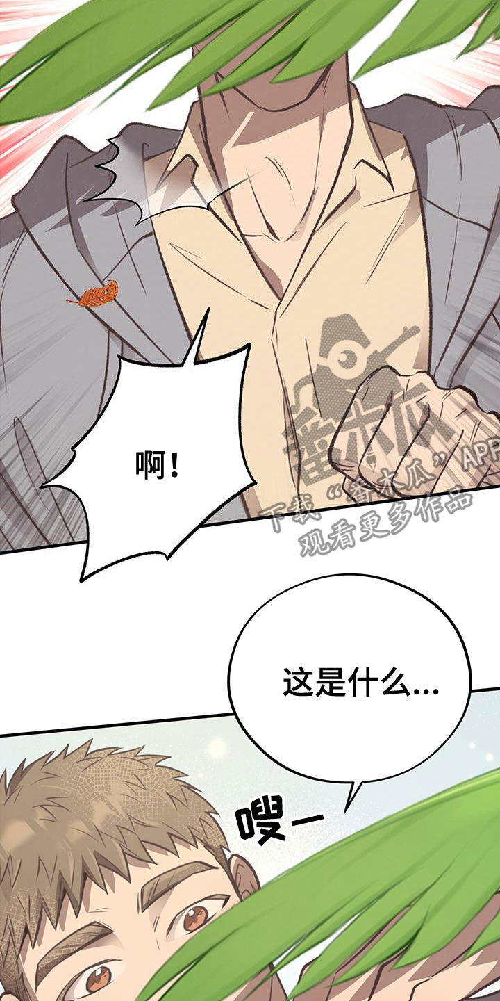 蜂蜜熊漫画,第79话2图