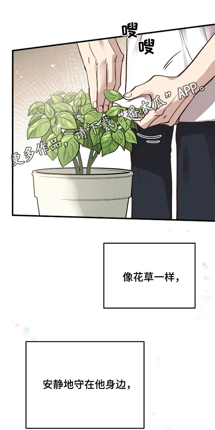 蜂蜜熊漫画,第111话1图