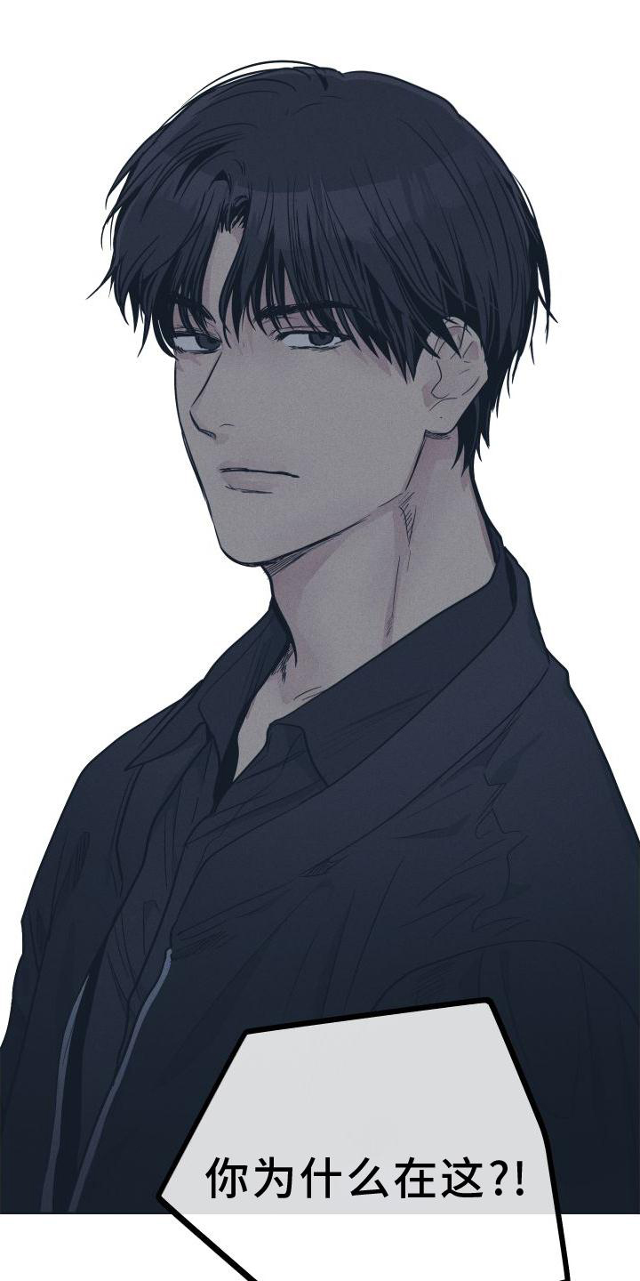 舍得52度浓香型多少钱一瓶漫画,第141话1图