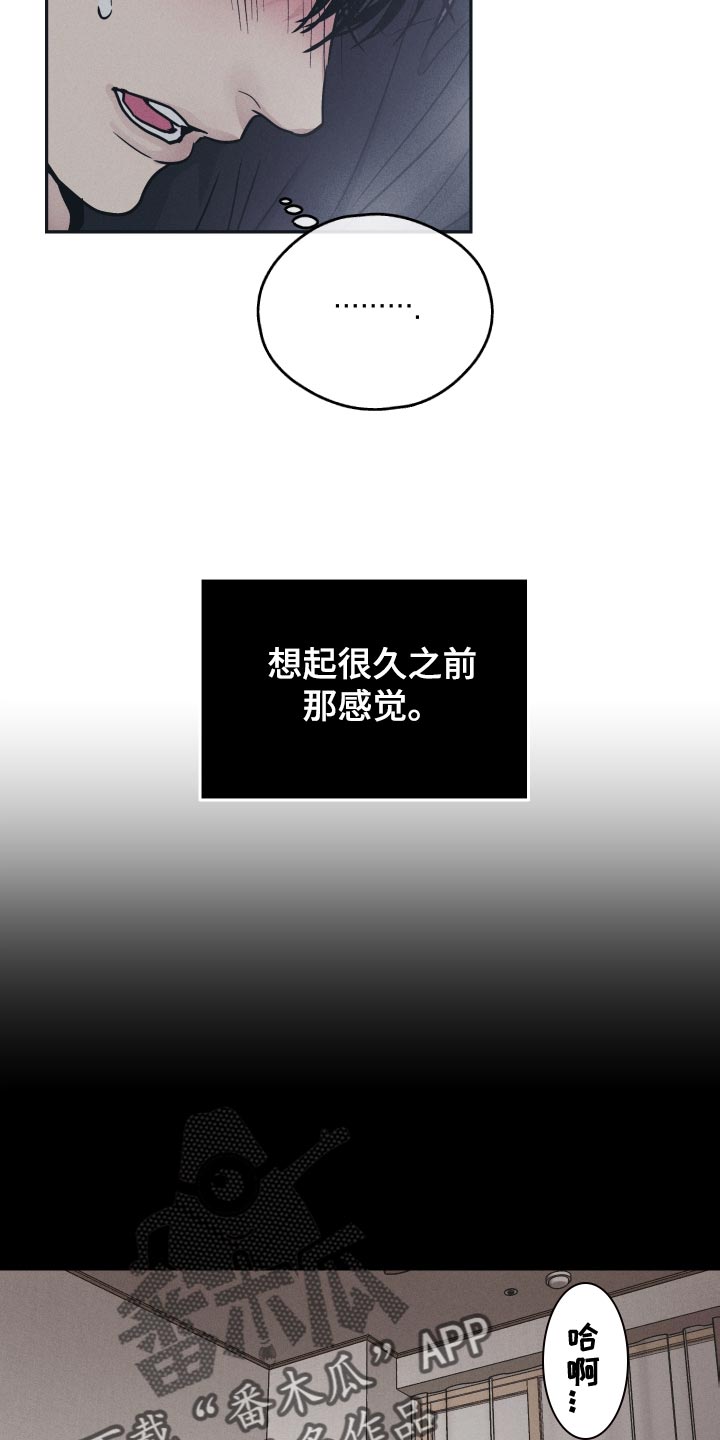 舍得52度浓香型多少钱一瓶漫画,第124话1图