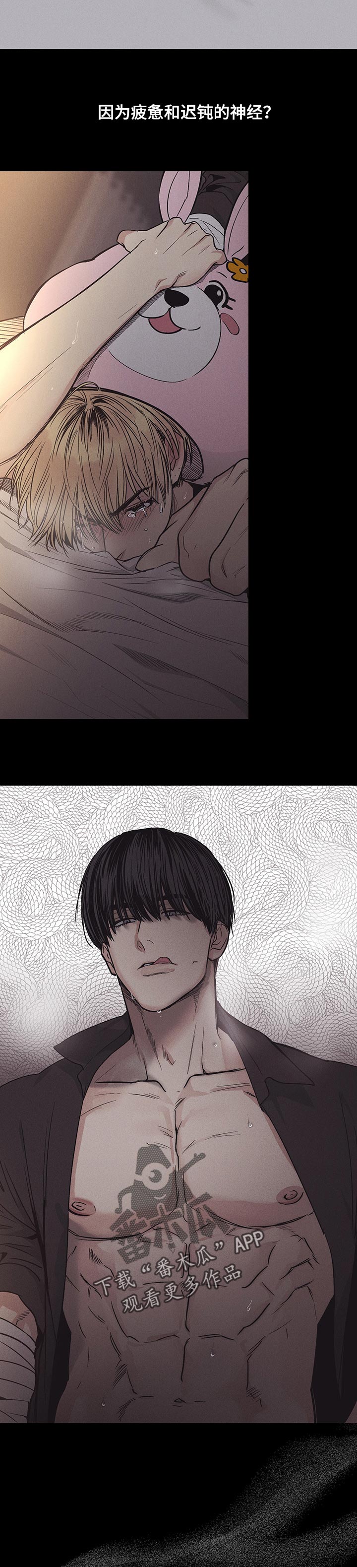 舍得52度浓香型多少钱一瓶漫画,第41话2图