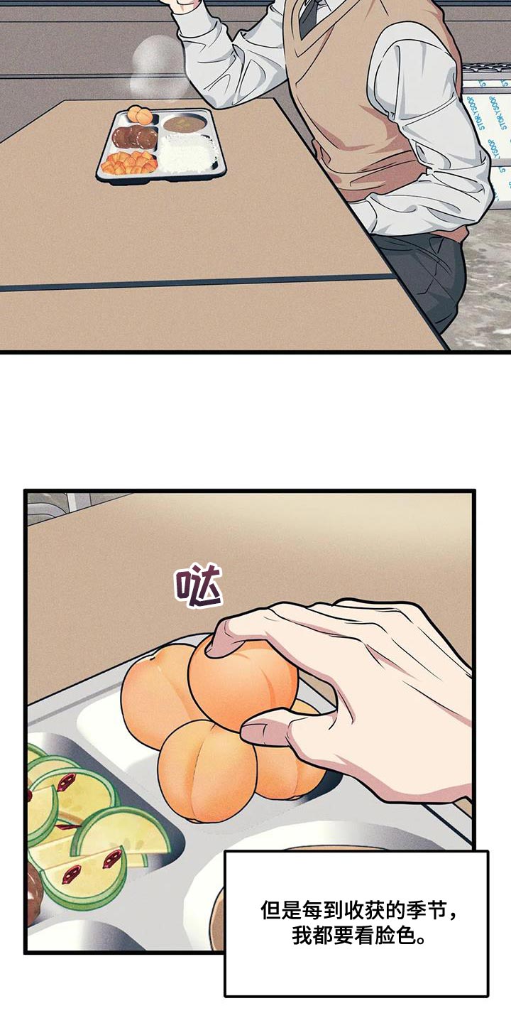 我的26岁女房客动漫免费观看漫画,第159话1图