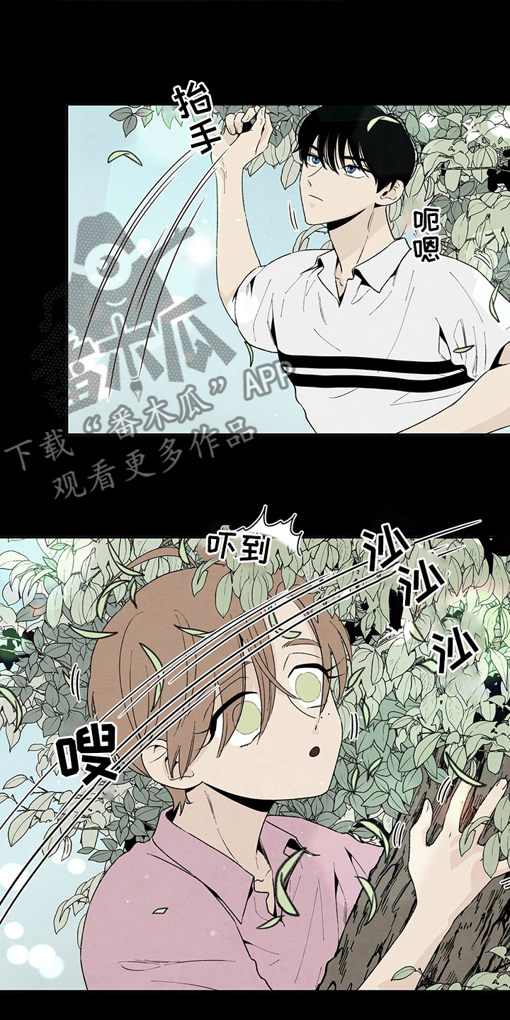 丹尼尔与安娜丹麦电影漫画,第102话2图