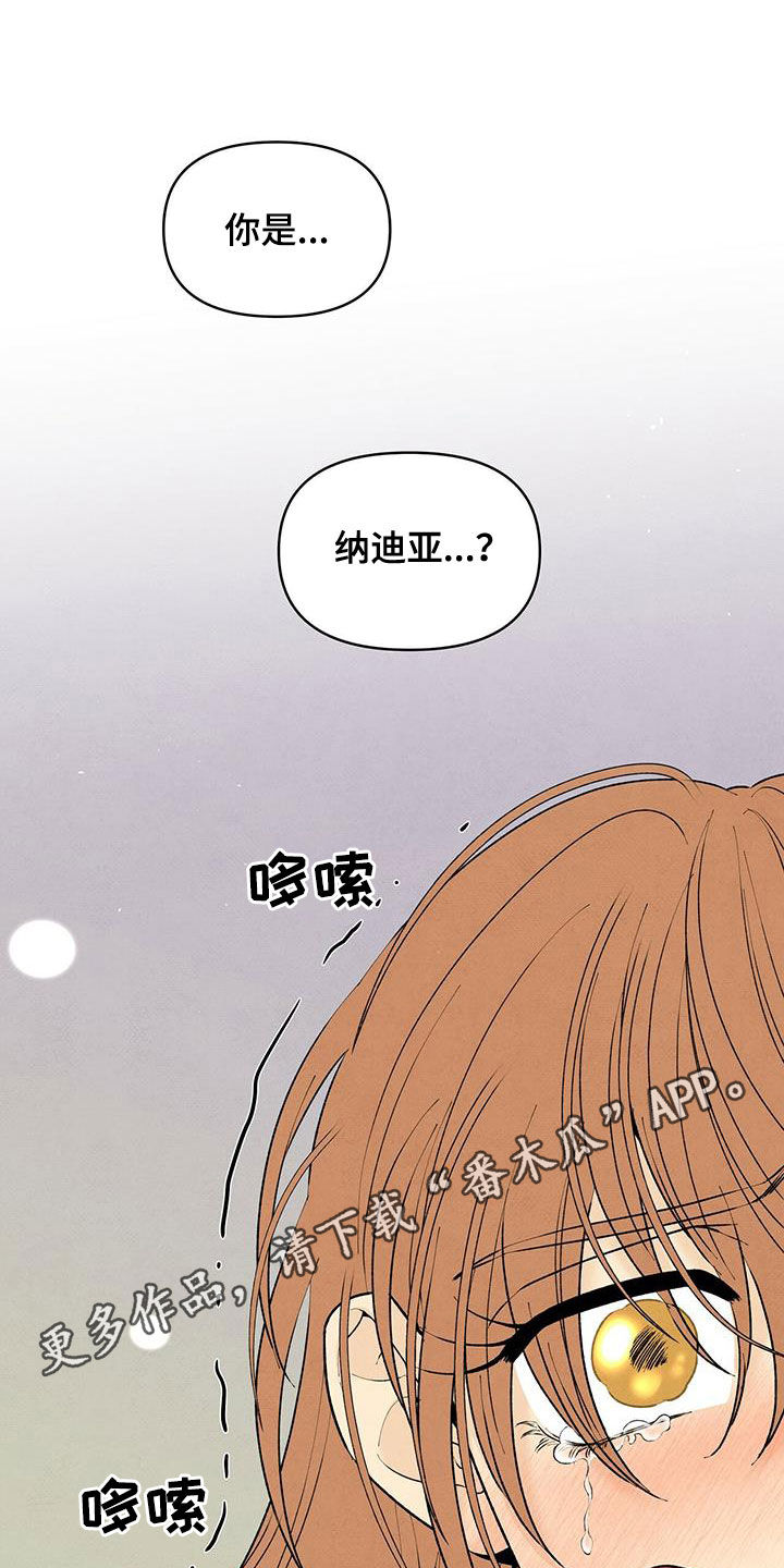 黑帮老大爱上我丹尼尔结局漫画,第134话1图