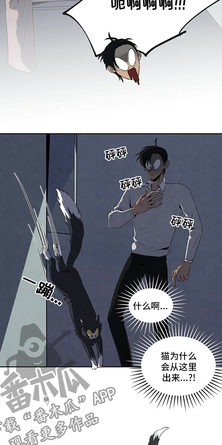 丹尼尔与黑帮漫画,第76话1图