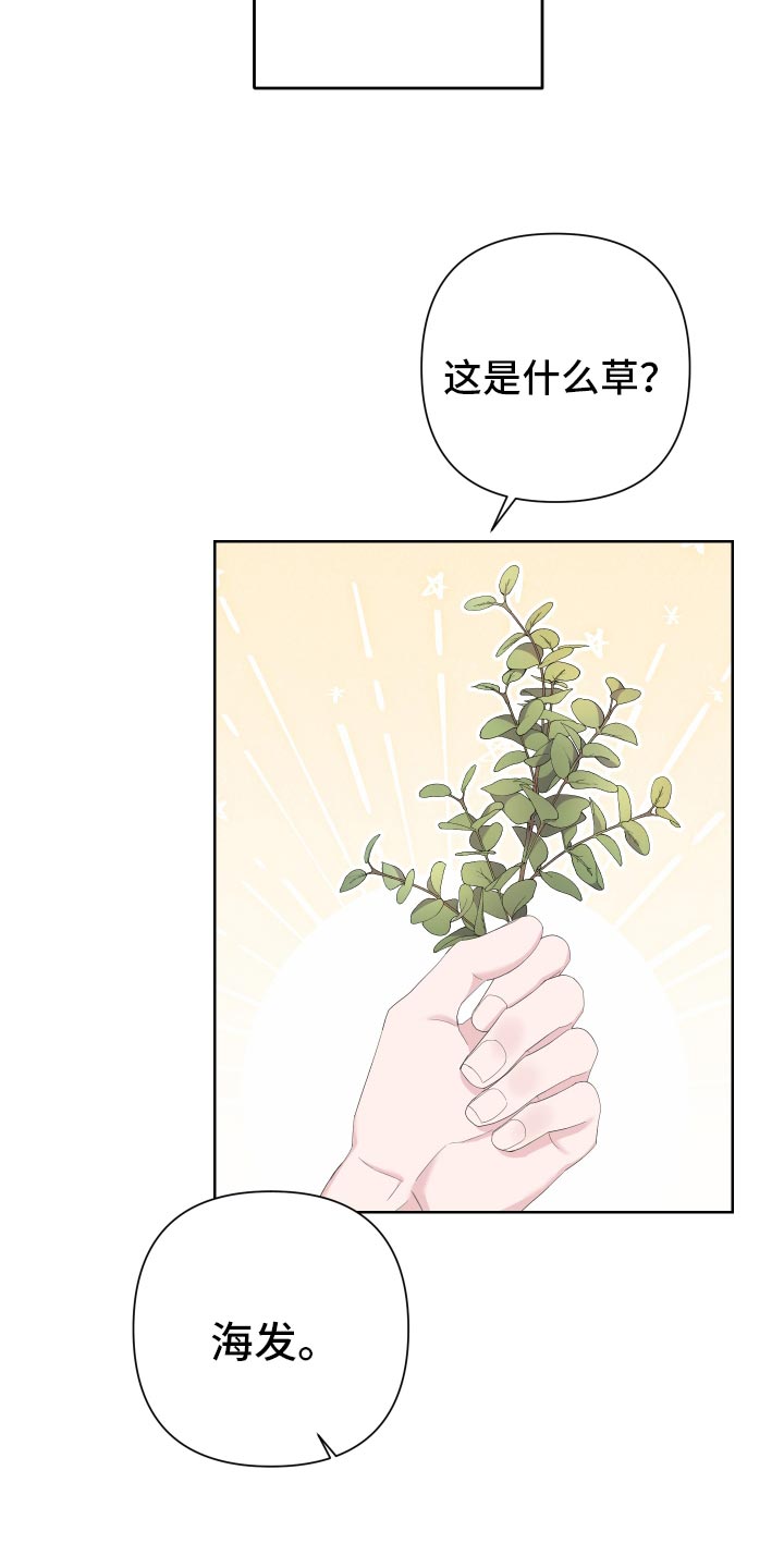 bedeuro简介漫画,第125话2图