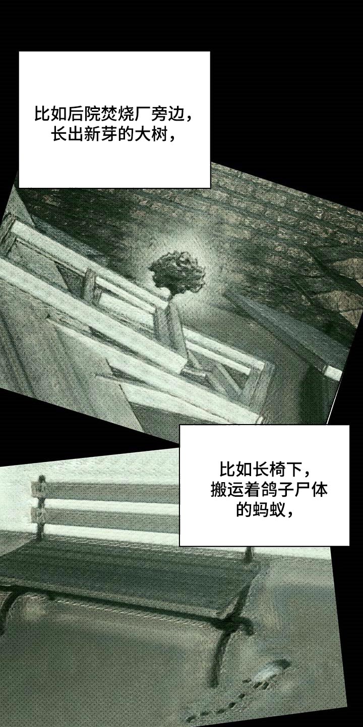 绿色纹理漆漫画,第74话2图