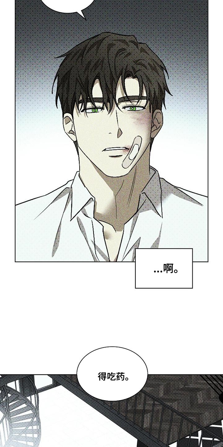 绿色纹理感衬衫大码漫画,第110话2图