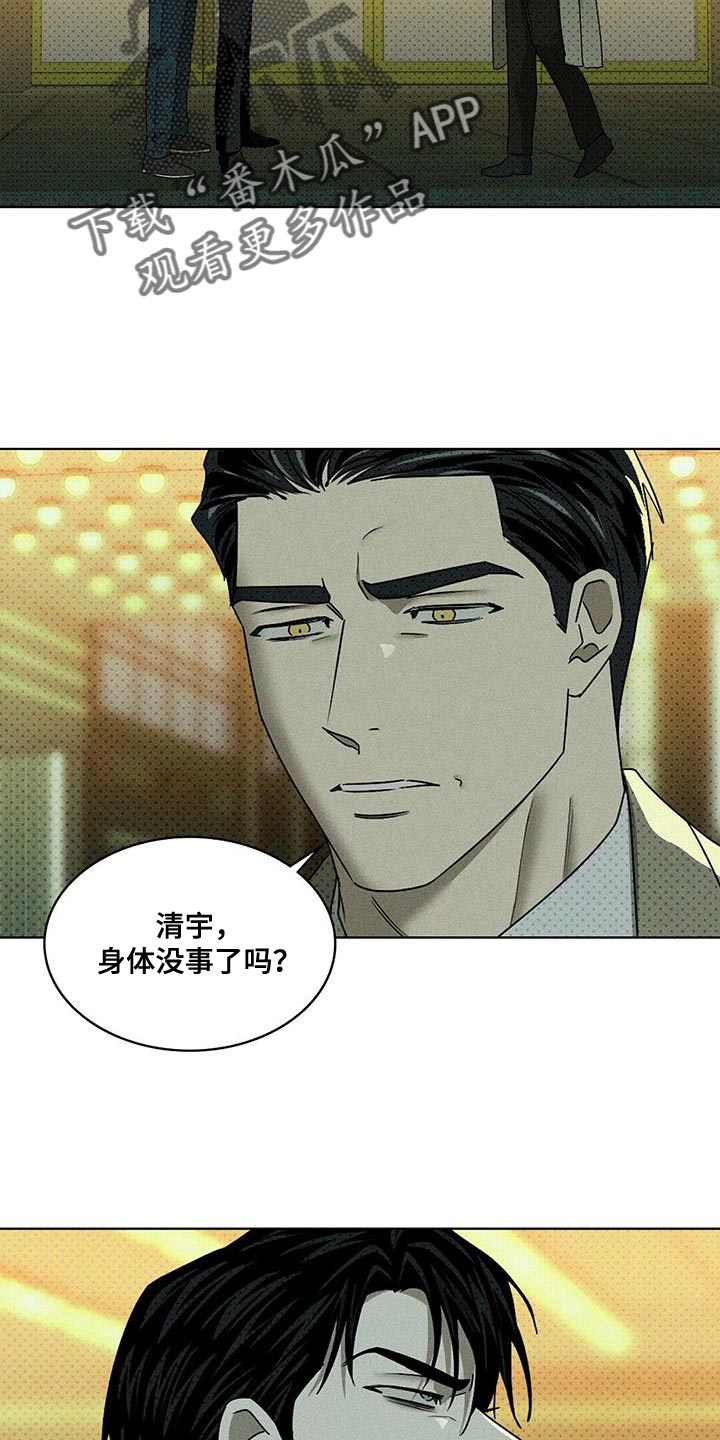 绿色纹理背景图漫画,第116话1图