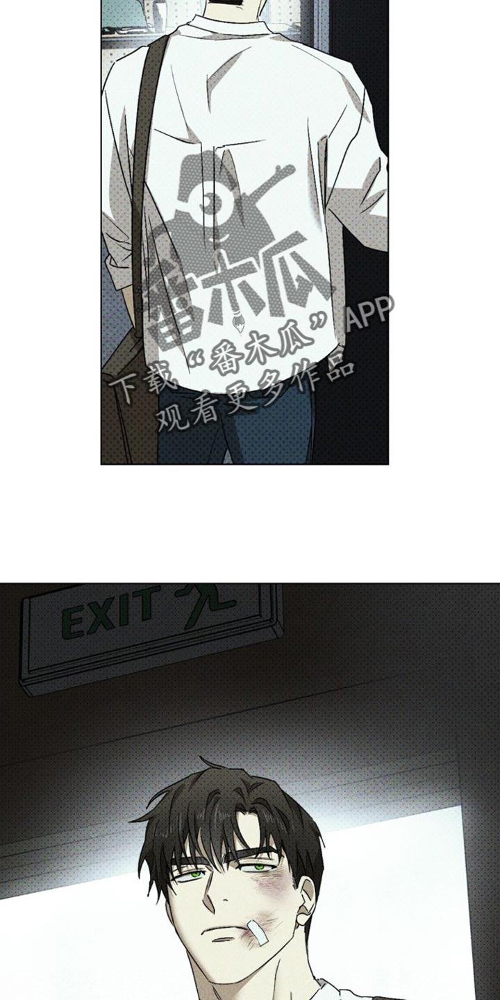 绿色纹理感衬衫大码漫画,第89话2图