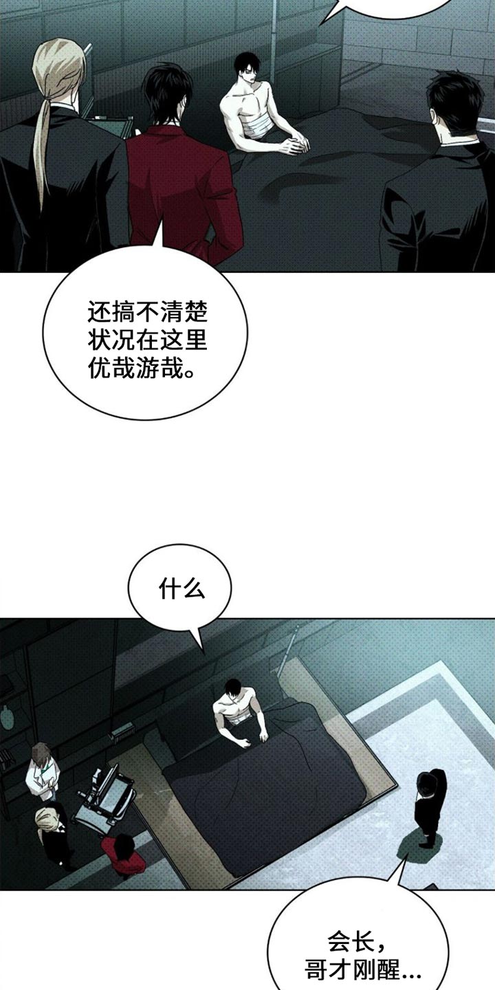 绿色纹理\/绿色镌像未增减漫画,第85话1图