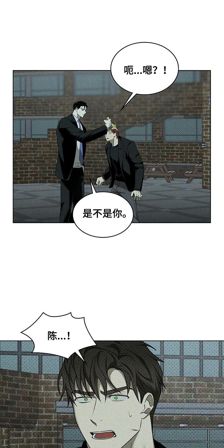 绿色纹理漫画,第120话1图