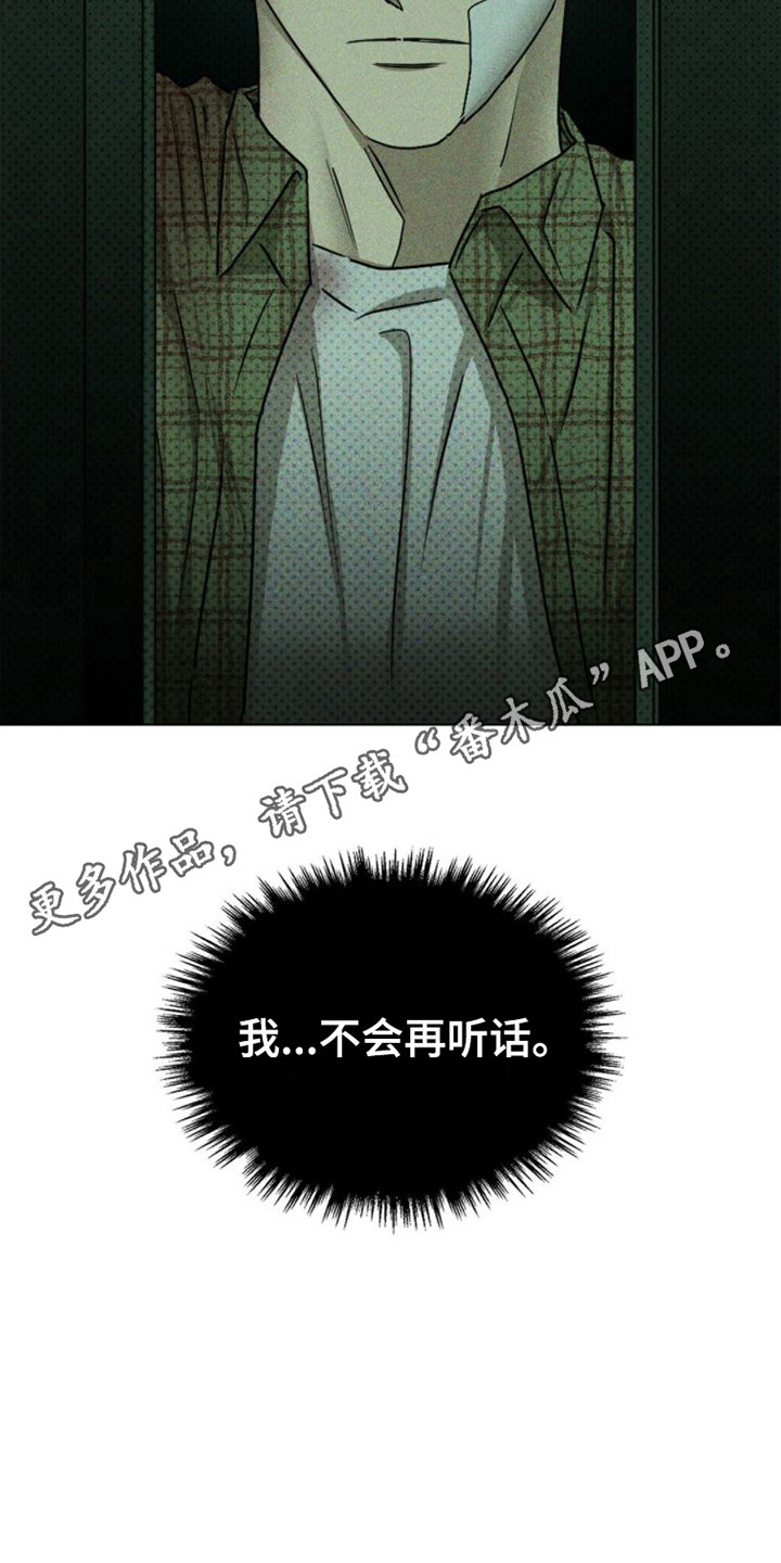 绿色纹理感衬衫大码漫画,第79话1图