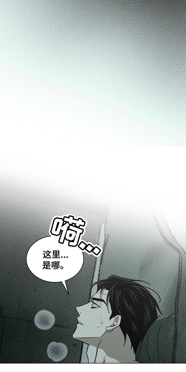 绿色纹理无删减免费漫画,第129话1图