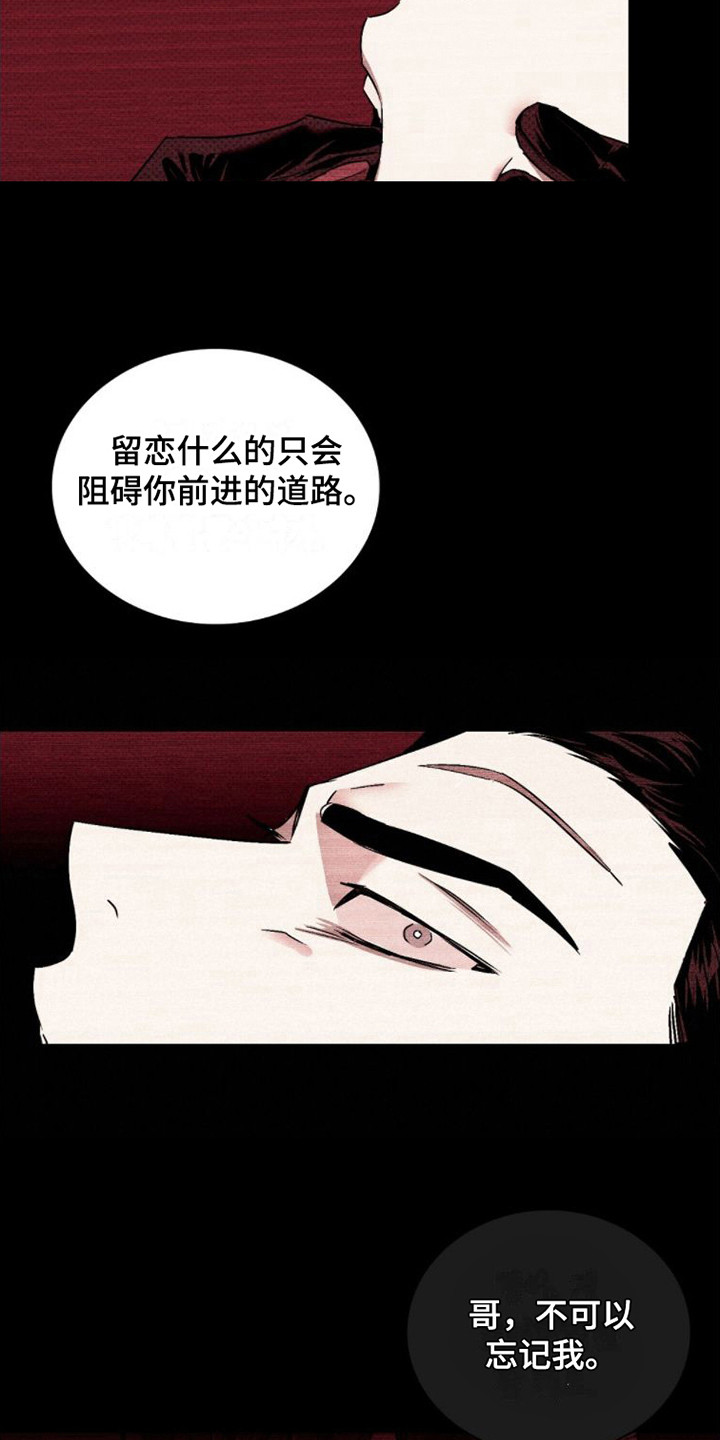 绿色纹理小说在线阅读漫画,第84话1图