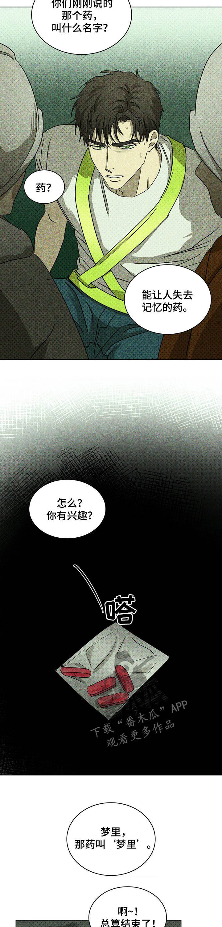 绿色纹理25话漫画,第46话1图