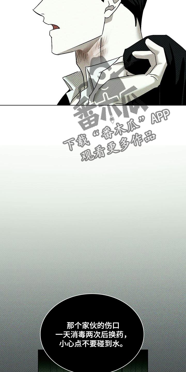 绿色纹理感衬衫大码漫画,第110话2图