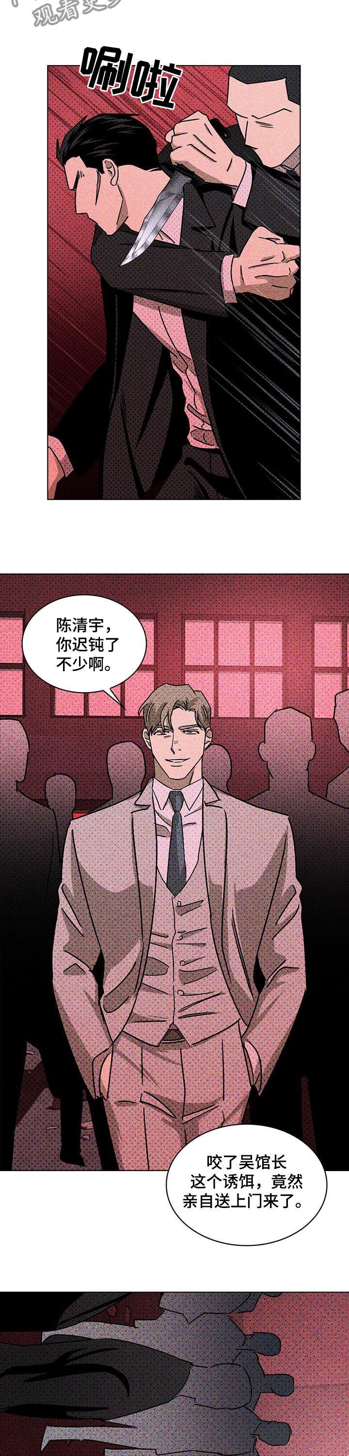 绿色纹理第二季免费下拉式漫画,第31话1图