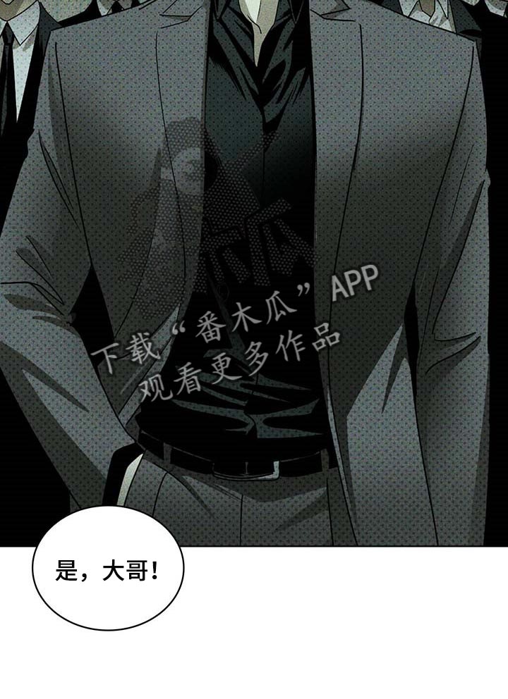 绿色纹理感衬衫大码漫画,第71话2图